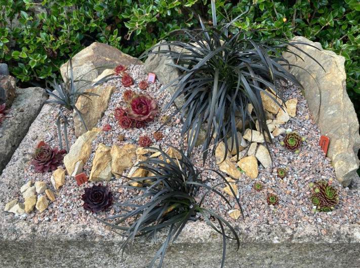 Developing a Garden in Bo'ness, Scotland