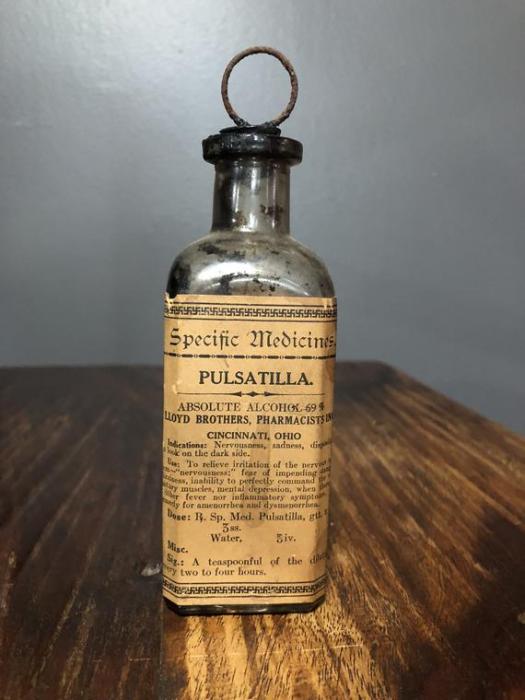 Pulsatilla monograph 2019 - Pulsatillas still on my mind