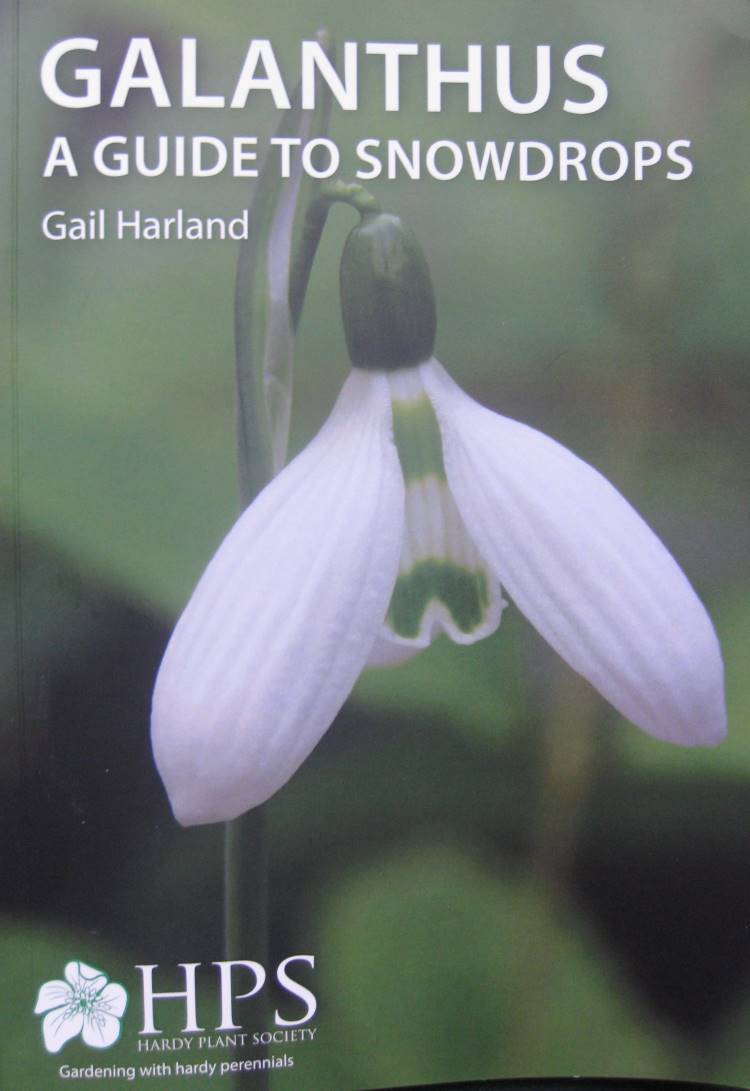 Latest Galanthus book from Gail Harland.
