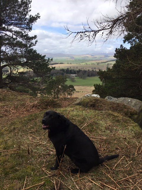 Job opportunity in Northumberland !