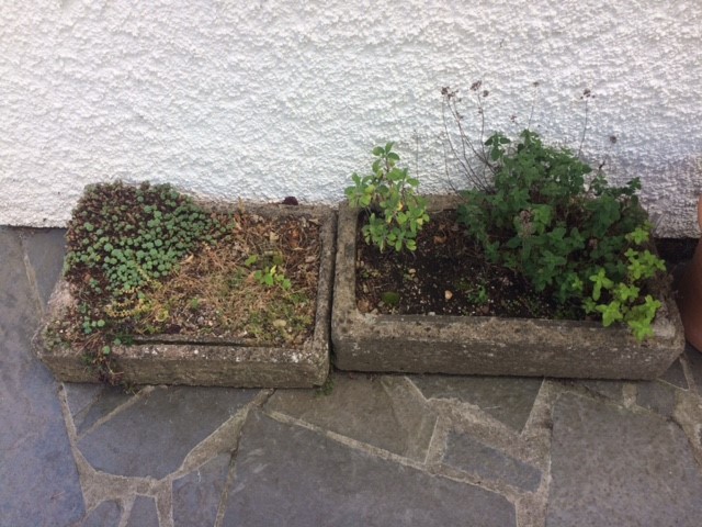 Shallow troughs available in Edinburgh