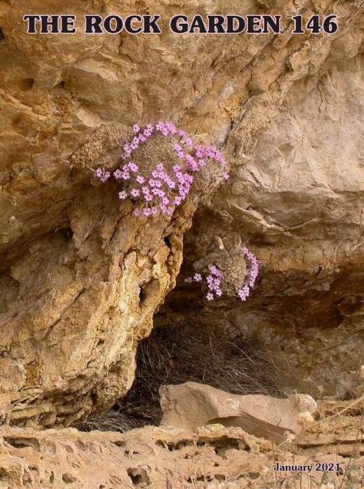 The Rock Garden Journal of SRGC - #146