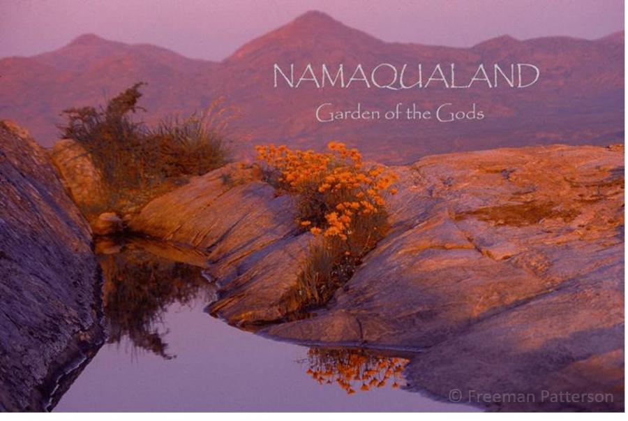 9th Annual Atlantic Canada Rare and Unusual Plant Sale and Seminar 606256-0