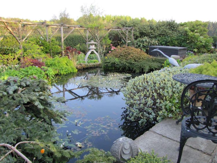 Two gardens open in Banchory-Devenick, by Aberdeen