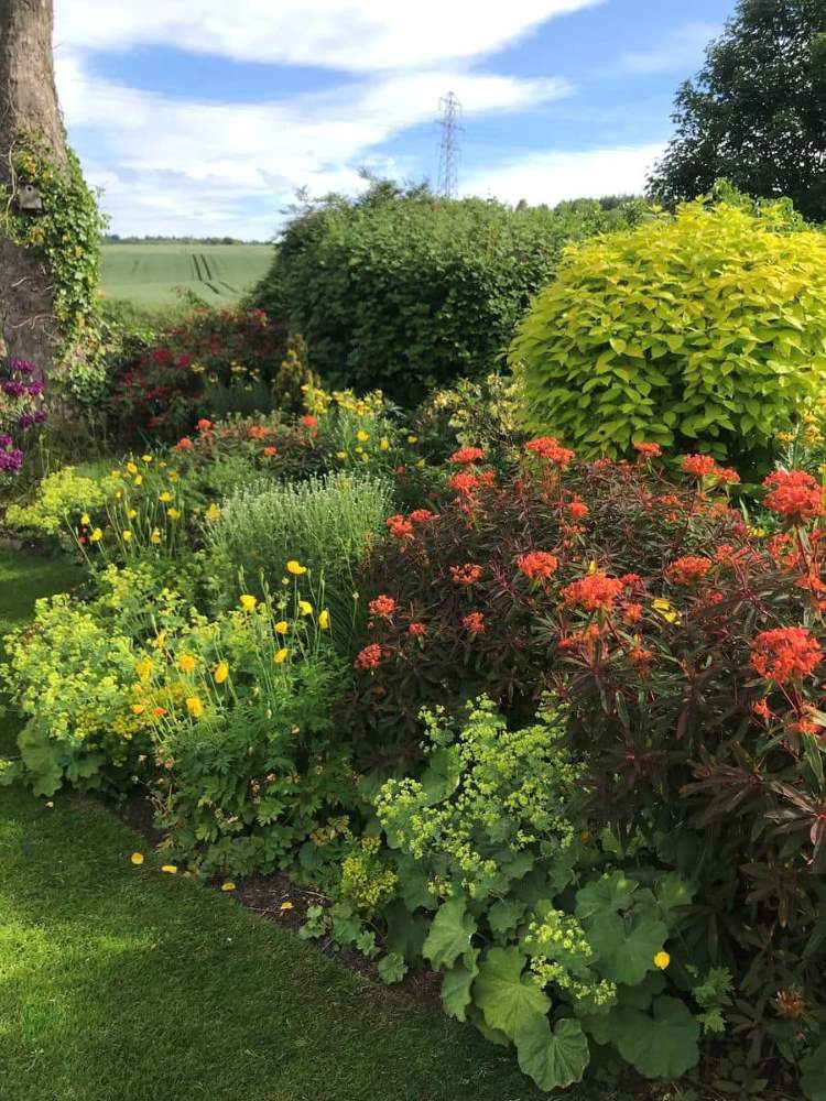 Two gardens open in Banchory-Devenick, by Aberdeen