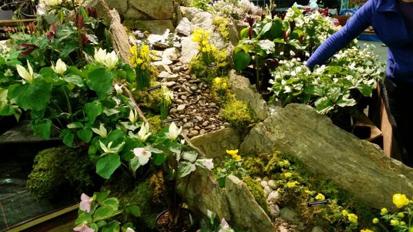 Harrogate Flower Show - still time to  visit tomorrow, 27th April