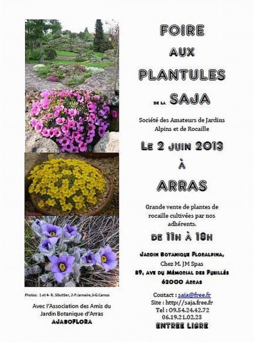 SAJA French Rock Garden Club - an Invitation to SRGC members