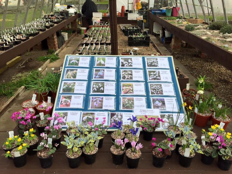 Potterton's Nursery  and Rob Potterton  517006-1