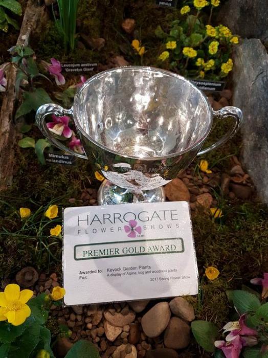 Harrogate Spring Flower Show  20th - 23rd April 2017
