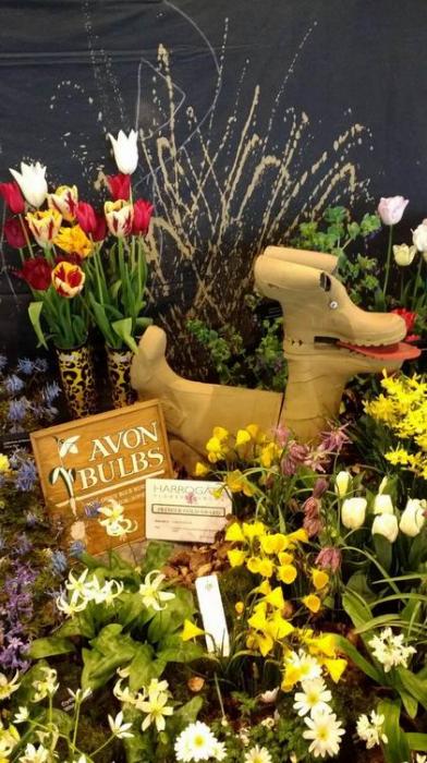 Harrogate Spring Flower Show  20th - 23rd April 2017