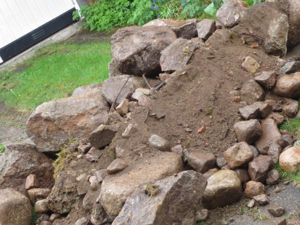 Beginning of bulb scree or just a disaster?
