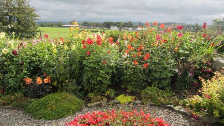 Members' Lovely Garden with House for sale - SW Scotland