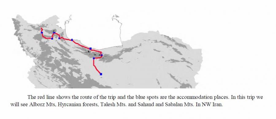 Botanising Trip to Iran 2016 521206-0