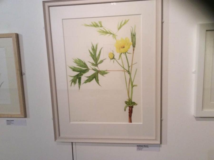 Exhibition - "Enchanted Forrest"  549614-1