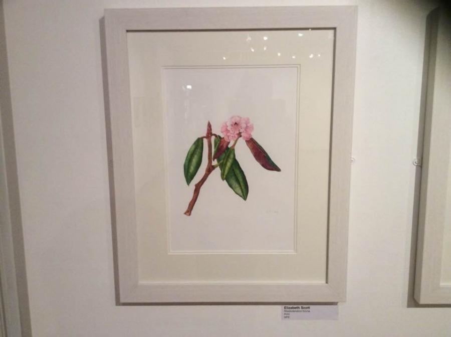 Exhibition - "Enchanted Forrest"  549616-2