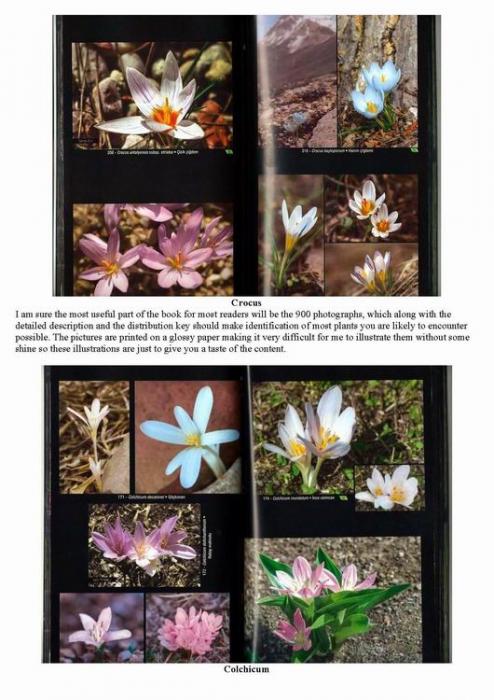 Great offer on Yasemin Konuralp Book, Wild Flowers of Turkey