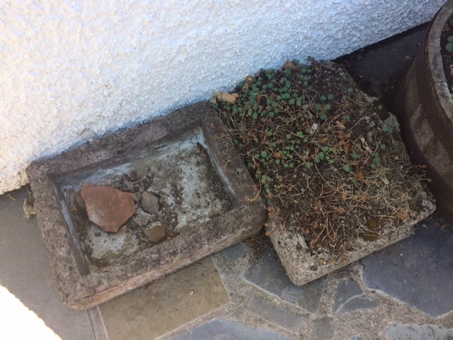 Shallow troughs available in Edinburgh