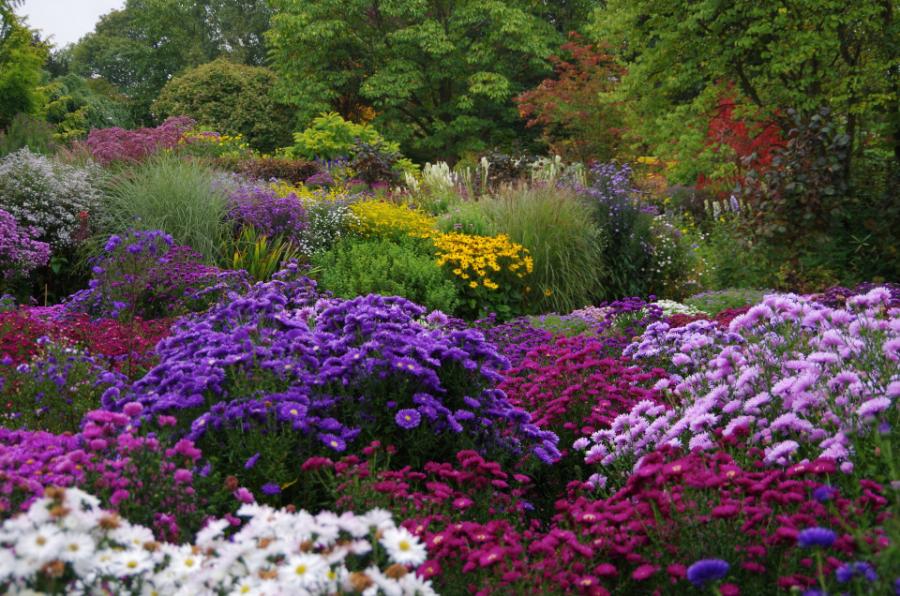 THE PERCY PICTON MEMORIAL FUND - GRANTS TO STUDENTS OF HORTICULTURE 621267-4