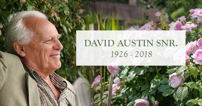 Passing of a Legend, David Austin OBE