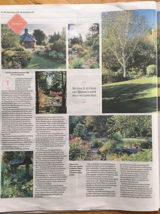 Another garden made by SRGC members features in the Press