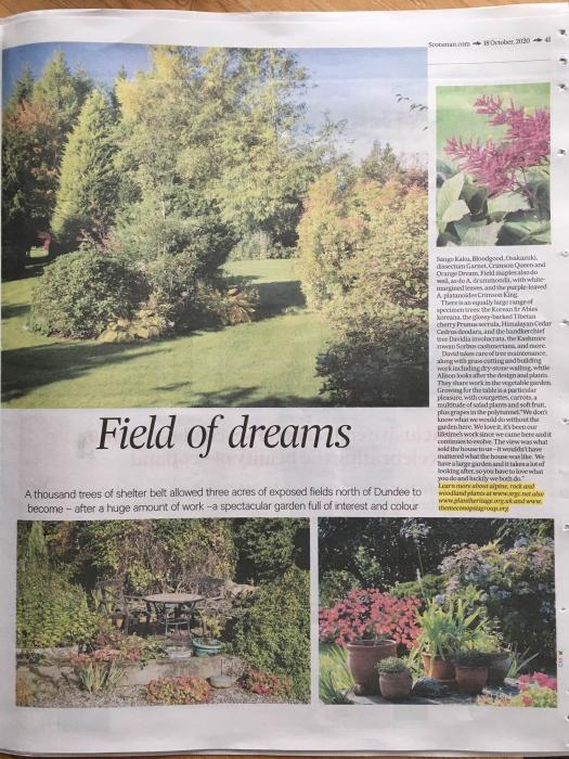 Another garden made by SRGC members features in the Press