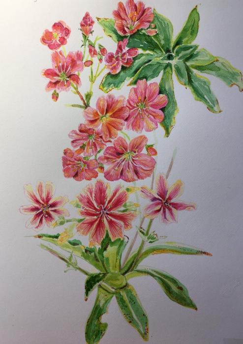 Artist inspired by plants