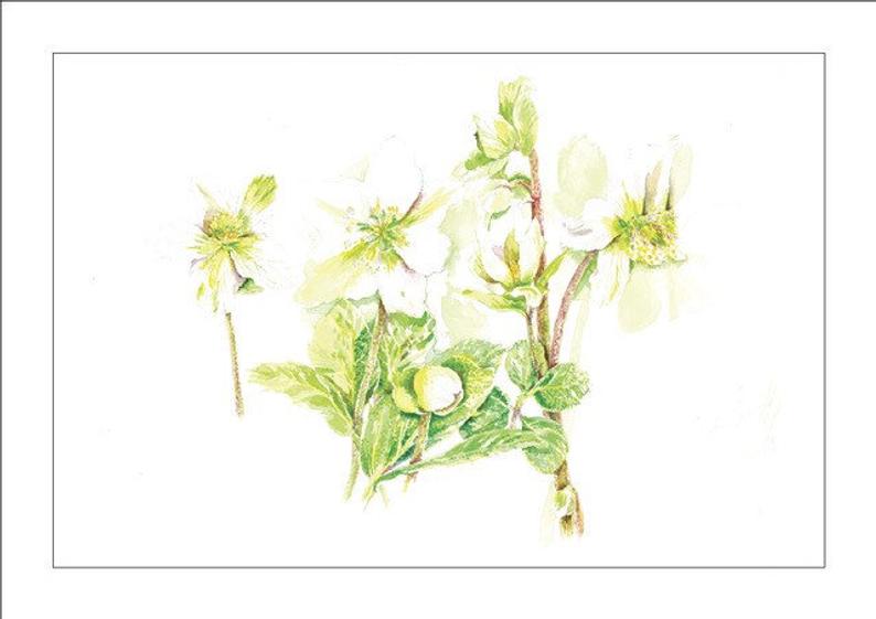 Artist inspired by plants 678492-1