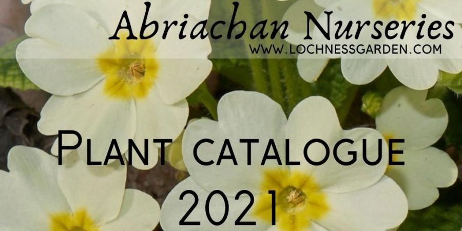 New Plant list from Abriachan Nursery 680636-0