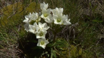 NZ Field trips 2012 - December. 381459-1