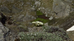 NZ Field trips 2012 - December. 381461-2