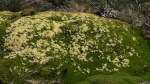 NZ Field trips 2012 - December. 381463-3